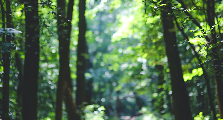 Công ty TNHH Thương mại Quốc tế Gia Hưng Yuanyi