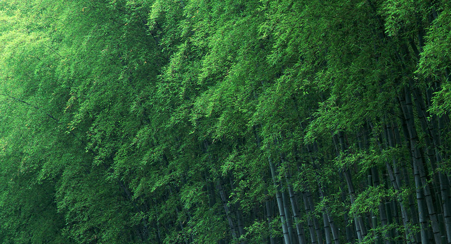 Công ty TNHH Thương mại Quốc tế Gia Hưng Yuanyi